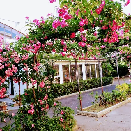 Residence Villa Pina 3*