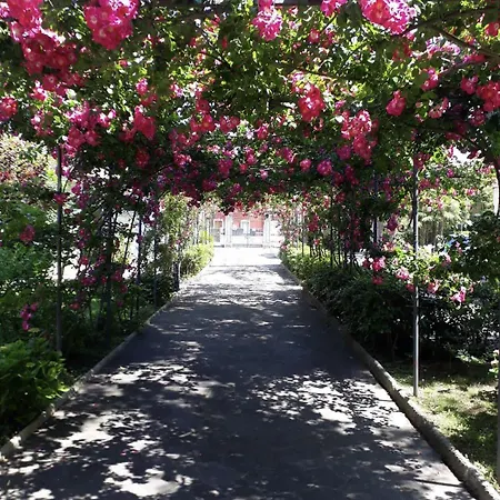 Residence Villa Pina Hotel Senigallia