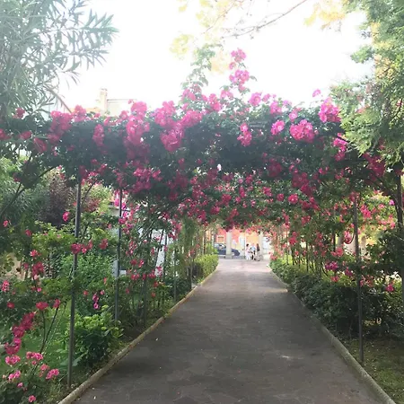 Residence Villa Pina 3* Сенигаллия