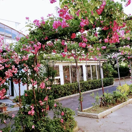 Residence Villa Pina Отель 3*