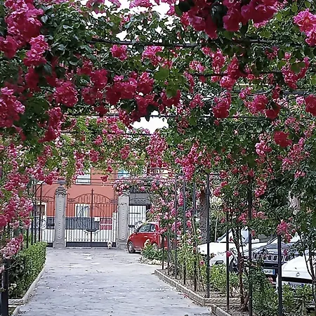 Residence Villa Pina Отель